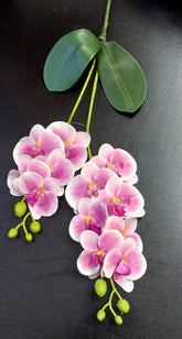 Fir Orhidee Artificială Real Touch Alb cu Roz Deschis